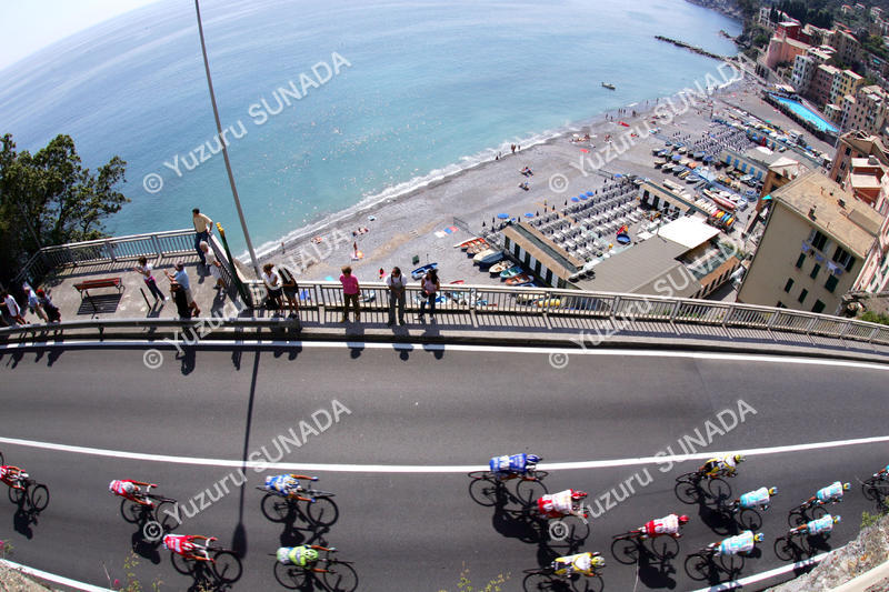 Peloton at Rapallo001p.jpg
